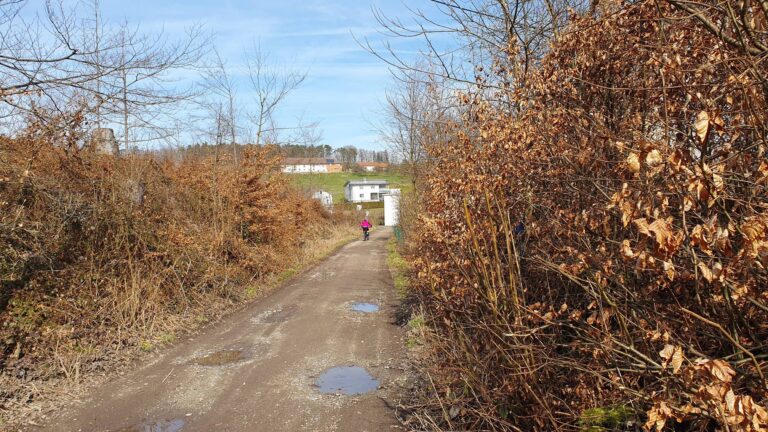 Frühlingswetter zum MTB-Biken genutzt