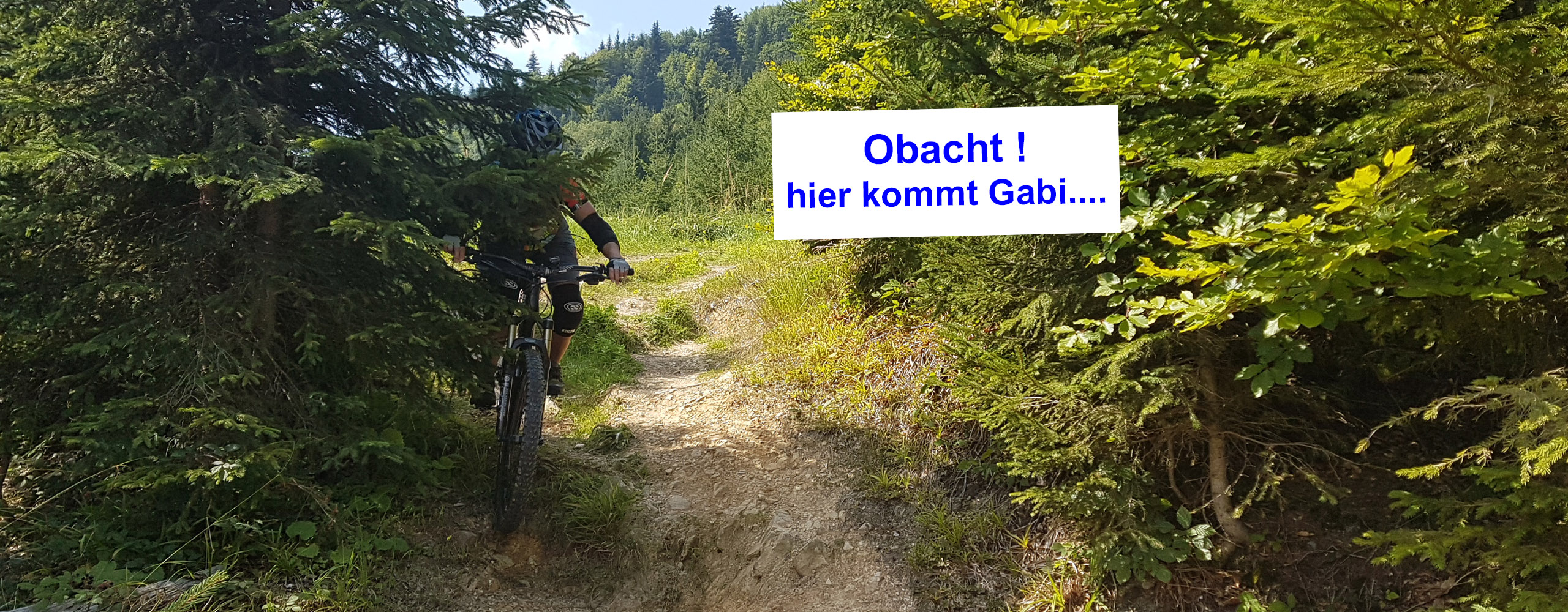 Header-AV-168-Gabi